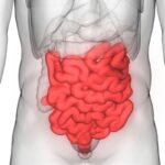 Studi Ungkap Lama Feses di Usus Bisa Pengaruhi Kesehatan Tubuh