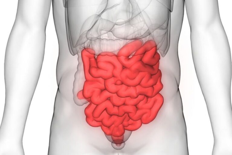 Studi Ungkap Lama Feses di Usus Bisa Pengaruhi Kesehatan Tubuh