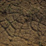 Jaksel–Jaktim Masuk Zona Rawan Longsor, Berikut Daftar Wilayahnya