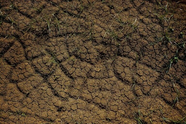 Jaksel–Jaktim Masuk Zona Rawan Longsor, Berikut Daftar Wilayahnya