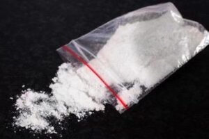 Dikira Maling, 2 Pria di Banyuwangi Ternyata Bawa 30 Paket Sabu Siap Edar