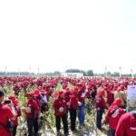 Industri Holtikultura RI Hadapi Tantangan Iklim dan Kenaikan Biaya Produksi