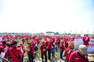 Industri Holtikultura RI Hadapi Tantangan Iklim dan Kenaikan Biaya Produksi