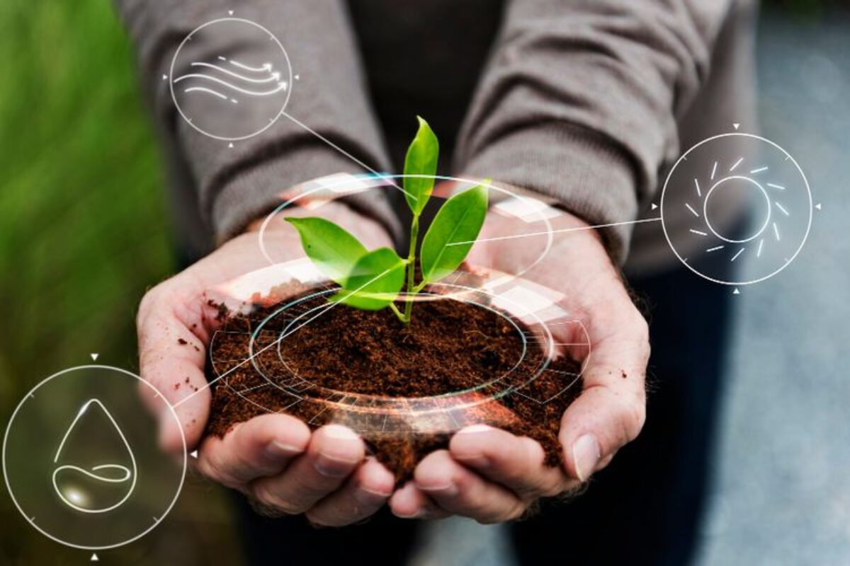 Gaya Hidup Ramah Lingkungan Masih Mahal