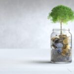 Tips Investasi Reksadana Bagi Pemula dari BRI, Simak Langkahnya