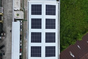 Bauran Energi Bersih Dunia Melonjak, China dan India di Posisi Teratas