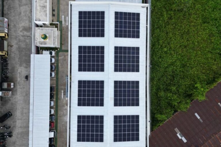 Bauran Energi Bersih Dunia Melonjak, China dan India di Posisi Teratas