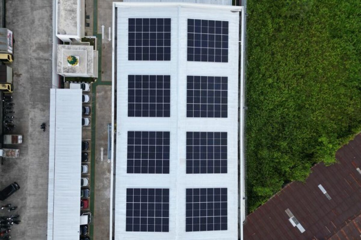 Bauran Energi Bersih Dunia Melonjak, China dan India di Posisi Teratas