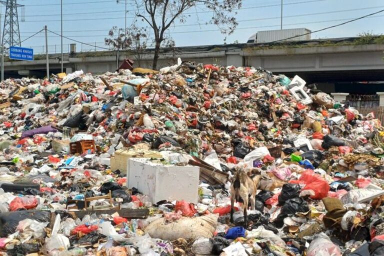 Akademisi: Retribusi Sampah ‘Bocor’ di Setiap Pos