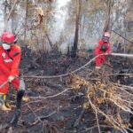 Daftar Wilayah Rawan Karhutla di Jateng 2026, Blora hingga Wonogiri Masuk Zona Merah