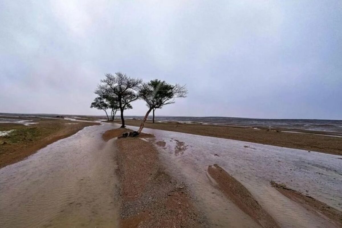Badai Petir dan Hujan Lebat Landa Saudi, Ini Imbauan untuk Jamaah Haji