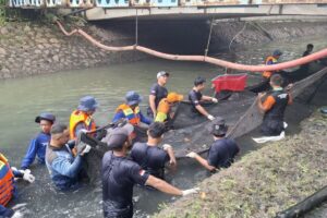 Pakar BRIN: Jangan Hanya Fokus Ikan Sapu-sapu, Ada 18 Spesies Invasif Mengintai Perairan Kita
