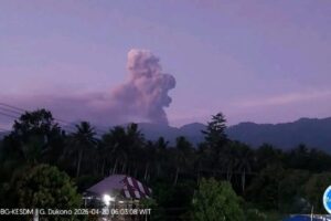 Gunung Dukono Erupsi 1,4 Kilometer, Abu Vulkanik ke Arah Timur