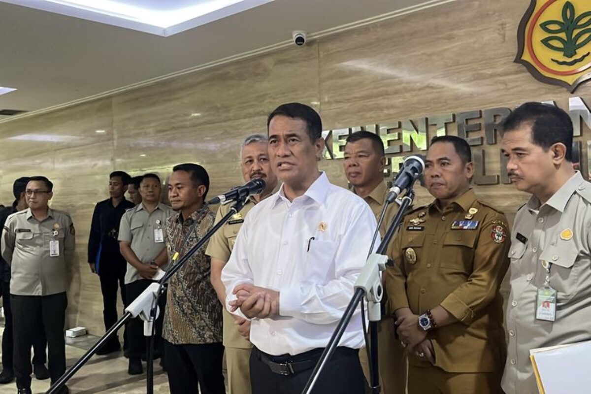 Hadapi El Nino, Kementan Sudah Petakan Jutaan Hektar Sawah Terdampak