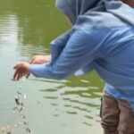 Makna Tebar Ikan di 40 Hari Kepergian Vidi Aldiano, Keluarga Ungkap Filosofi Haru