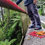 Viral Aksi Tabur Bunga di Jembatan Cangar, Bentuk Empati atau Bahayakan Pengendara?